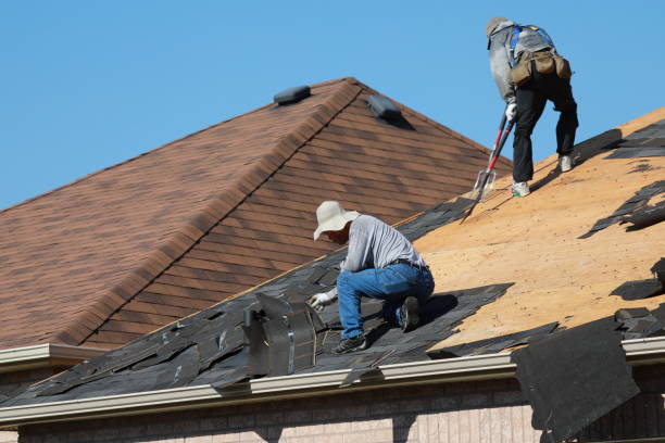 Best Chimney Flashing Repair  in Lake Odessa, MI