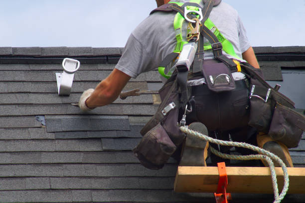 Best Roof Ventilation Installation  in Lake Odessa, MI