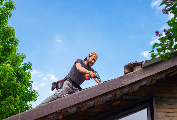 Best Metal Roofing Installation  in Lake Odessa, MI