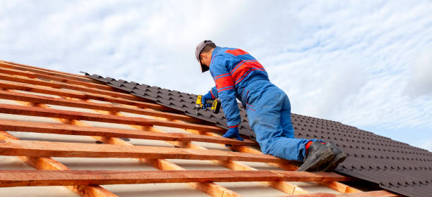  Lake Odessa, MI Roofing repair and installation Pros