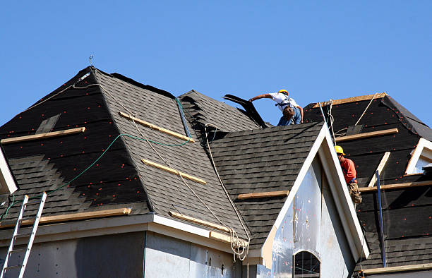 Best Chimney Flashing Repair  in Lake Odessa, MI
