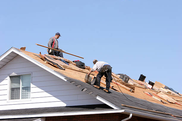 Best Wood Shake Roofing  in Lake Odessa, MI