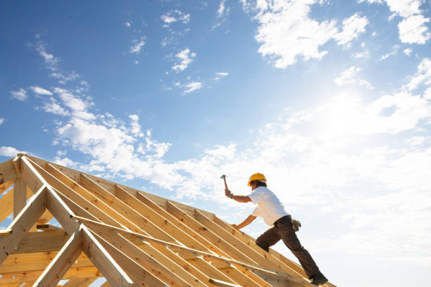 Best Rubber Roofing (EPDM, TPO)  in Lake Odessa, MI